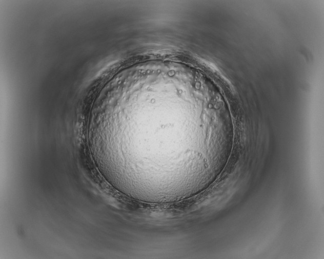 X0000111671399200907311149