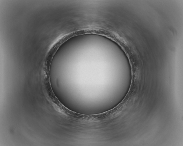 X0000111671400200907311149