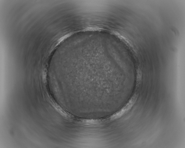 X0000111671401200907311149