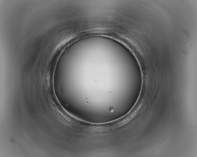 X0000111671402200907311149