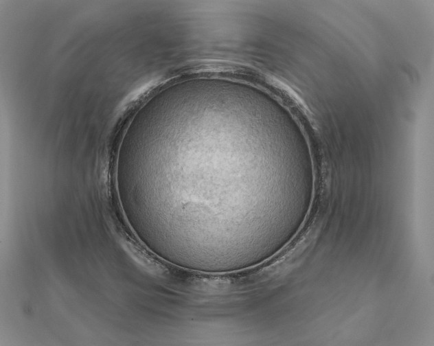 X0000111671403200907311149