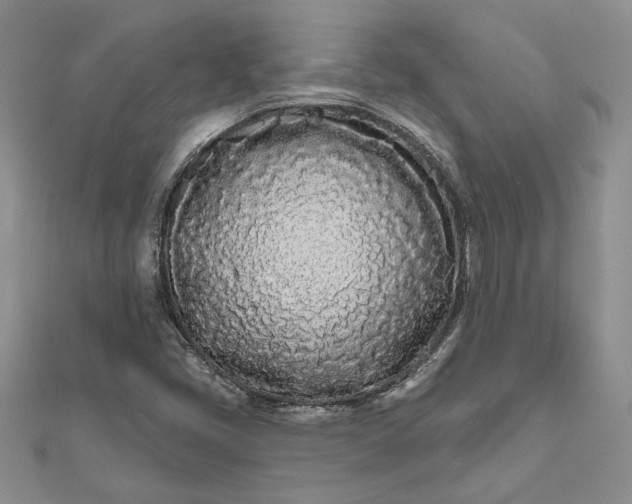 X0000111671405200907311149