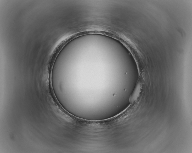 X0000111671408200907311149