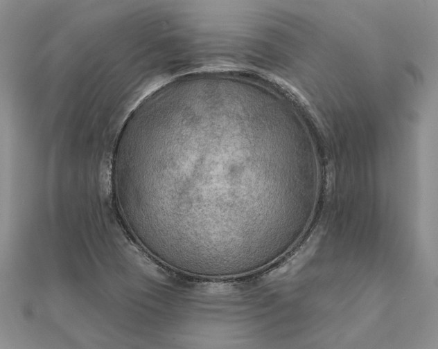 X0000111671409200907311149