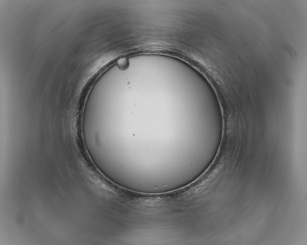 X0000111671410200907311149