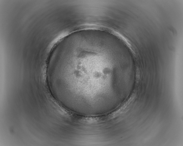 X0000111671411200907311149