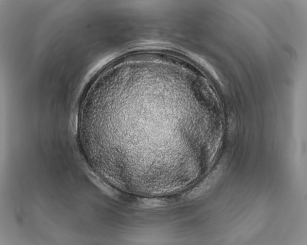 X0000111671413200907311149