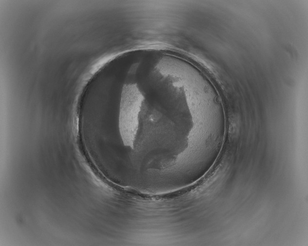 X0000111671414200907311149