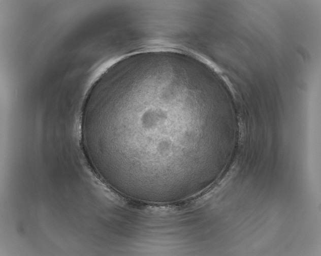 X0000111671415200907311149