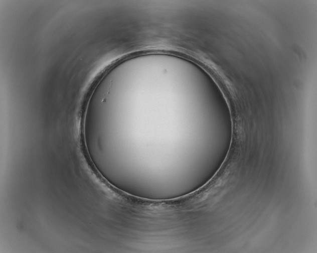 X0000111671416200907311149