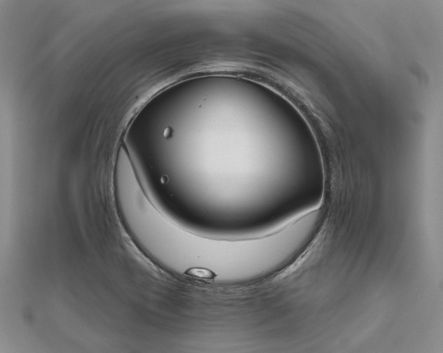 X0000111671417200907311149