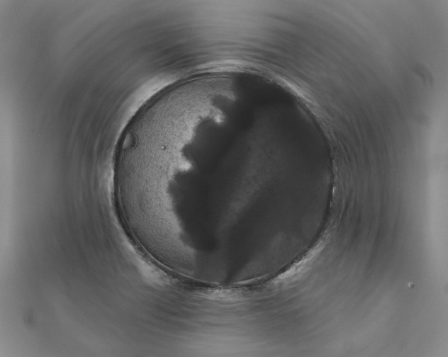 X0000111671418200907311149