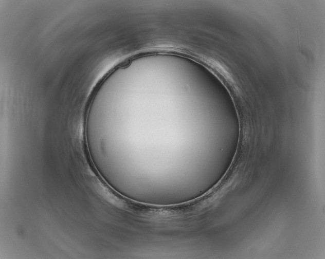 X0000111671420200907311149