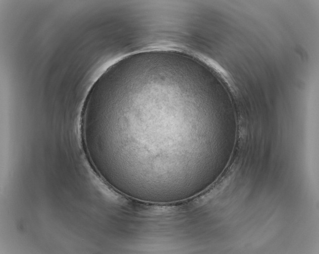 X0000111671423200907311149