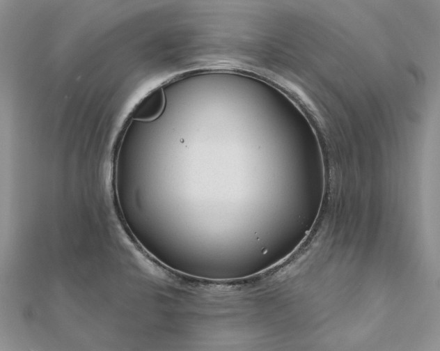 X0000111671424200907311149