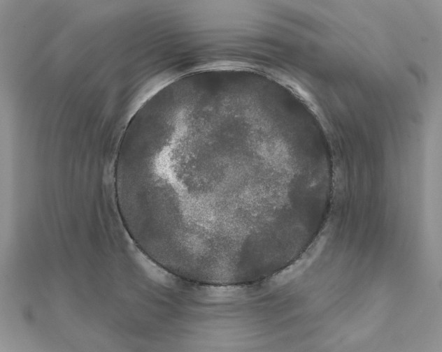 X0000111671425200907311149