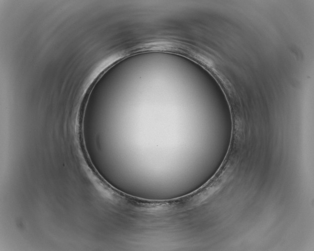 X0000111671426200907311149