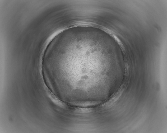 X0000111671427200907311149