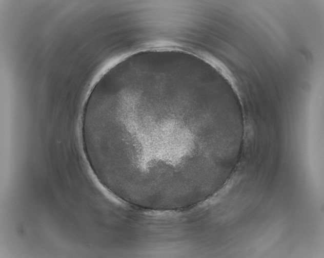 X0000111671429200907311149