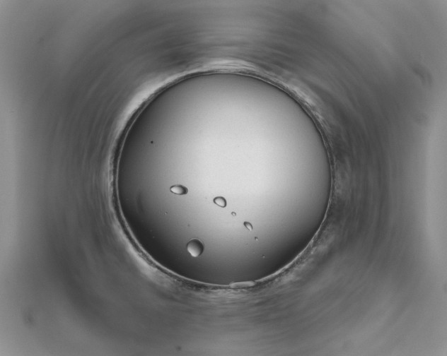 X0000111671430200907311149