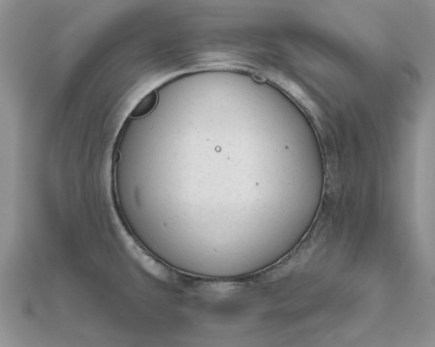 X0000111671431200907311149