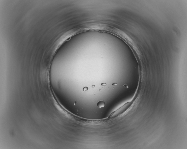 X0000111671433200907311149