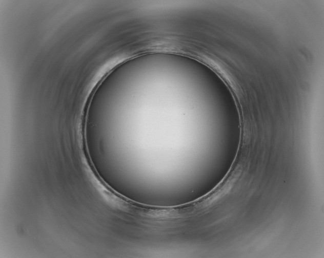 X0000111671434200907311149