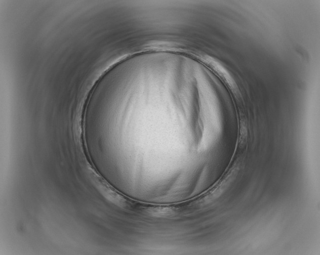 X0000111671435200907311149