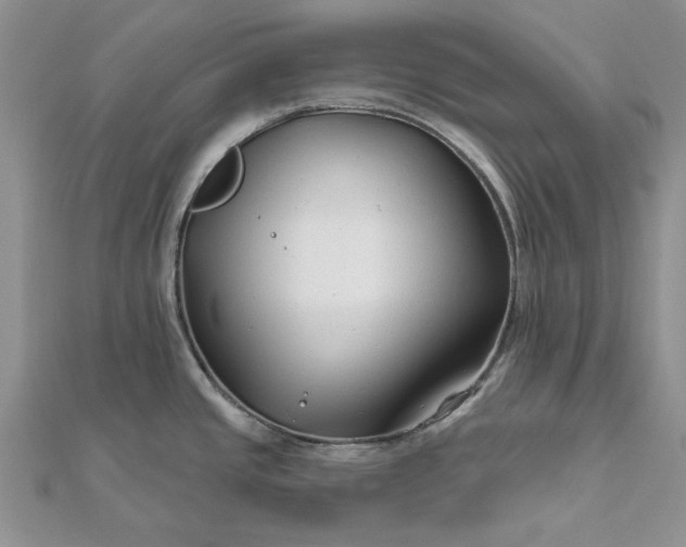 X0000111671437200907311149