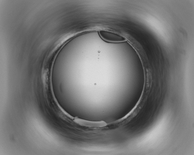 X0000111671438200907311149