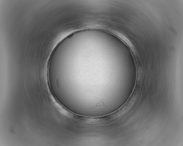 X0000111671439200907311149