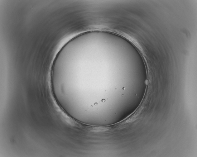 X0000111671440200907311149