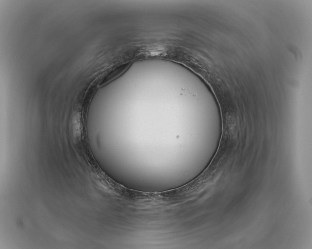 X0000111671442200907311149