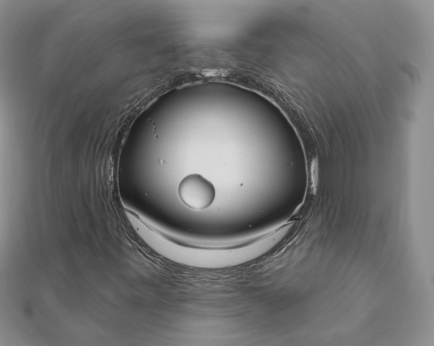 X0000111671443200907311149