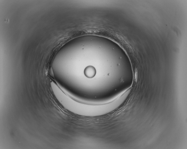 X0000111671444200907311149