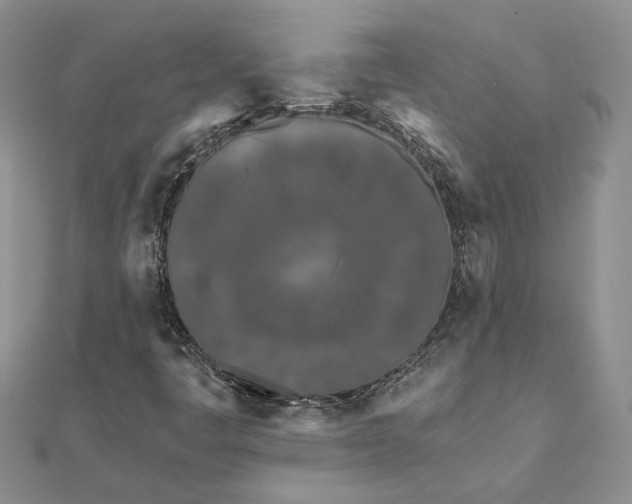 X0000111671445200907311149