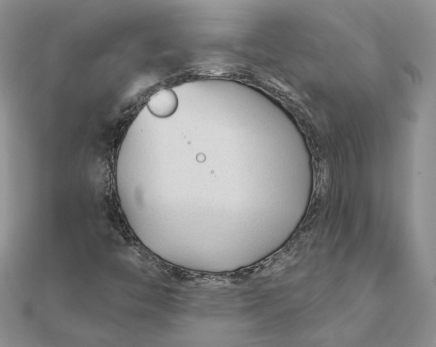 X0000111671446200907311149