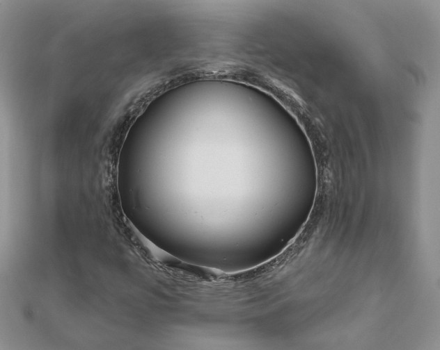 X0000111671447200907311149