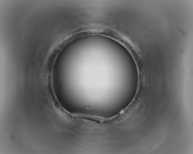 X0000111671448200907311149