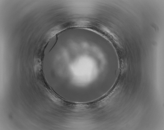 X0000111671449200907311149