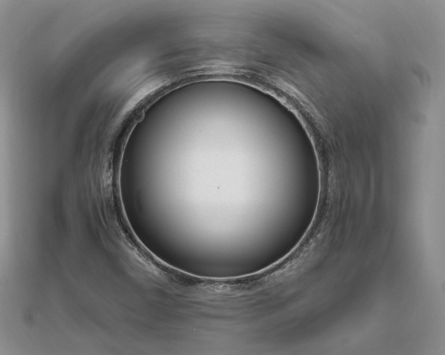 X0000111671450200907311149