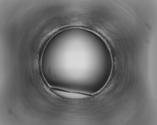 X0000111671452200907311149