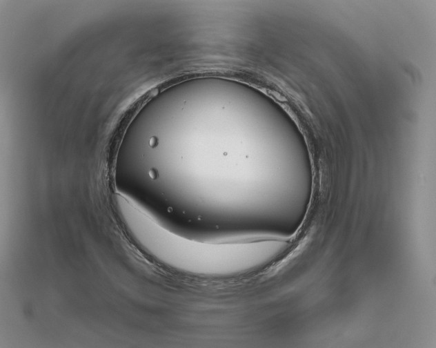 X0000111671453200907311149