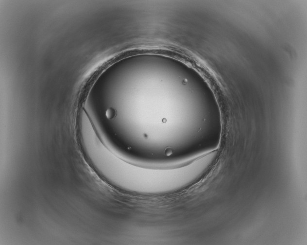 X0000111671456200907311149