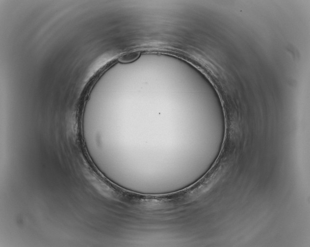 X0000111671458200907311149