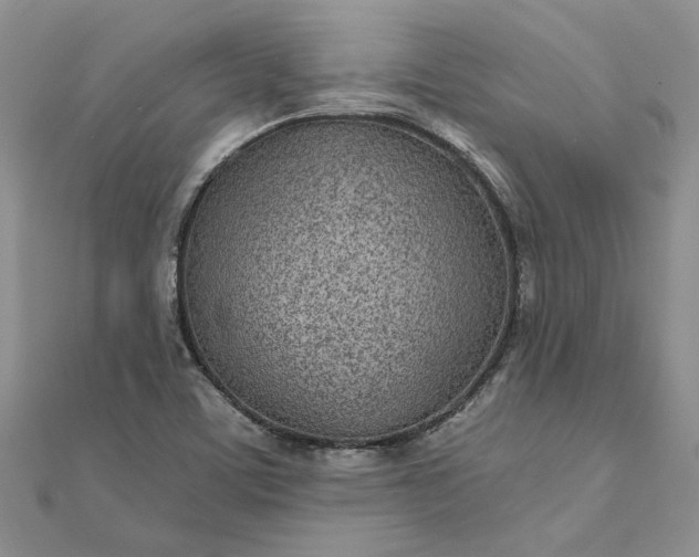 X0000111671459200907311149