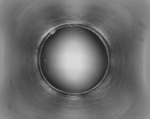 X0000111671460200907311149