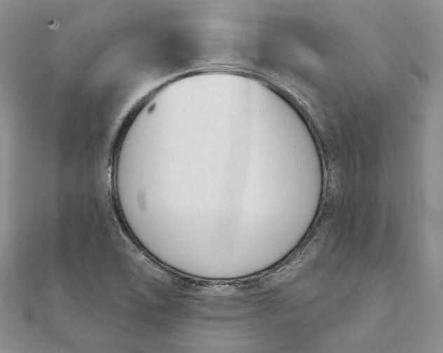 X0000111671462200907311149