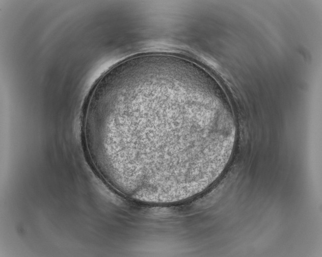 X0000111671463200907311148