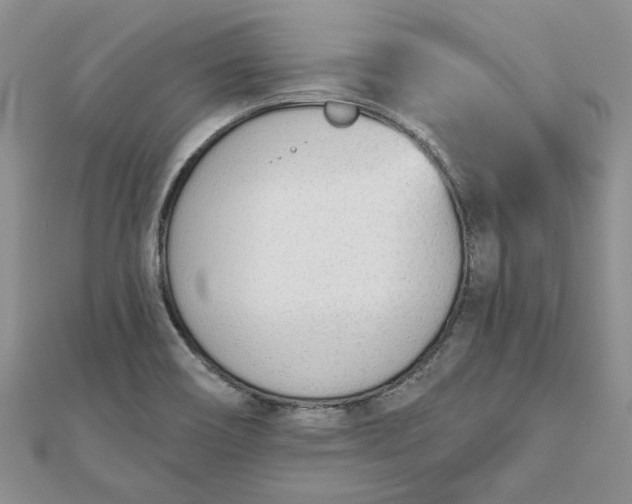 X0000111671466200907311148